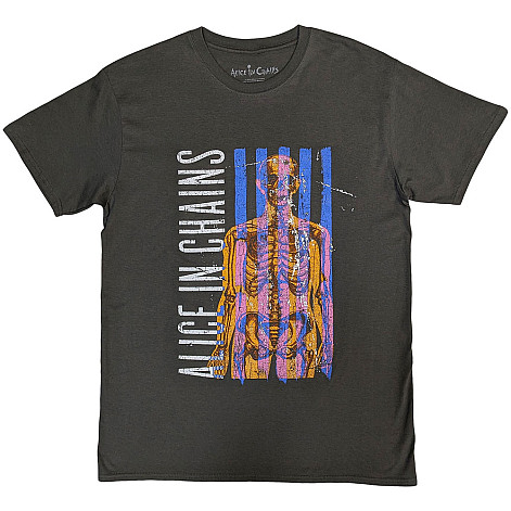 Alice in Chains t-shirt, Skeletal Stone Wash Charcoal Grey, men´s