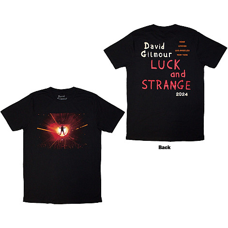 Pink Floyd t-shirt, David Gilmour Luck & Strange Stage Shot BP Black, men´s