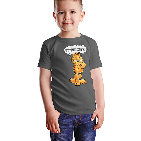 Garfield t-shirt, I'm Not Always Right Dark Grey, kids