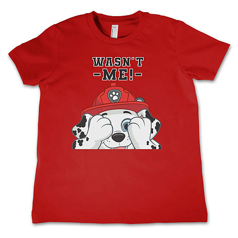 Paw Patrol t-shirt, Wasn't Me Kids Red, kids