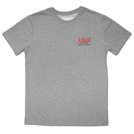 N.W.A t-shirt, Mini Logo Grey, men´s