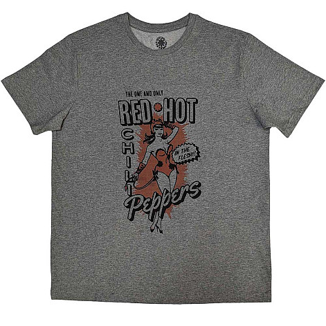 Red Hot Chili Peppers t-shirt, In The Flesh Grey, men´s