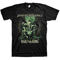 Avenged Sevenfold t-shirt, En Vie, men´s