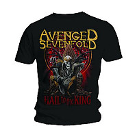 Avenged Sevenfold t-shirt, New Day Rises, men´s