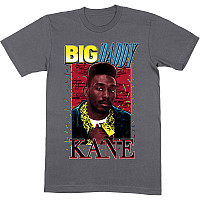 Big Daddy Kane t-shirt, Ropes Grey, men´s