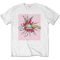 Pink Floyd t-shirt, Lichtenstein Prism White, men´s