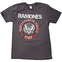 Ramones t-shirt, Subterraneun Jungle Charcoal Gray, men´s