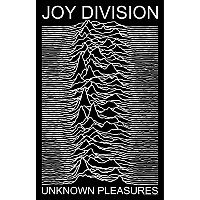 Joy Division textile banner 70cm x 106cm, Unknown Pleasures