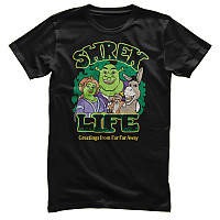 Shrek t-shirt, Greeting from Far Far Away Black, men´s