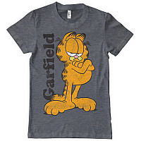 Garfield t-shirt, Garfield Dark Heather, men´s