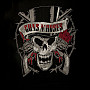 Guns N Roses mikina, Distressed Skull, men´s