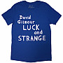 Pink Floyd t-shirt, David Gilmour Luck & Strange Logo BP Blue, men´s