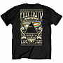 Pink Floyd t-shirt, Carnegie Hall Poster BP, men´s
