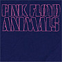 Pink Floyd t-shirt, AWBDG, men´s